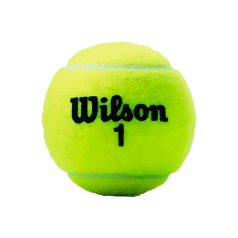 PELOTA CHAMPIONSHIP PRESSURLESS X3
